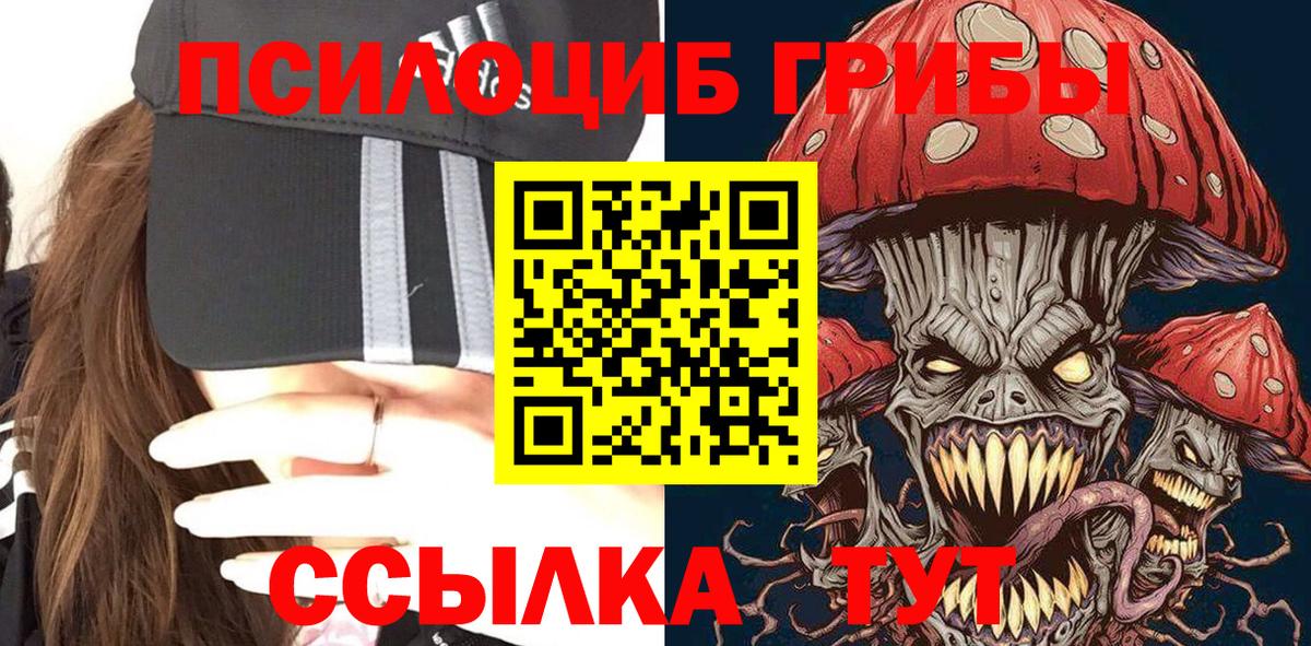 Балашов  Галлюциногенные грибы мицелий  Псилоцибиновые грибы Magic Shrooms  Вход с VPN 